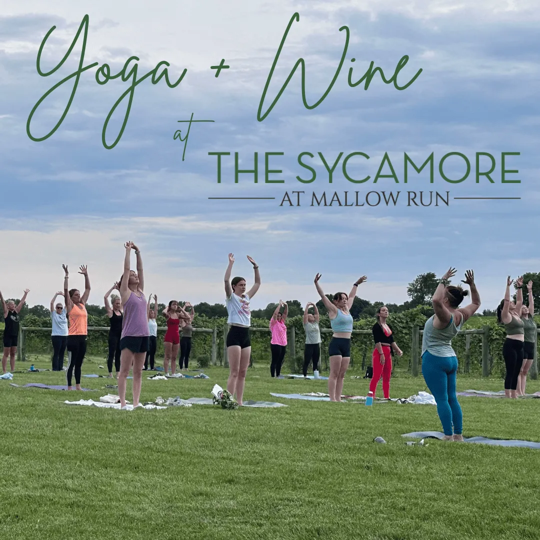 Yoga + Wine Night – Homestead Room